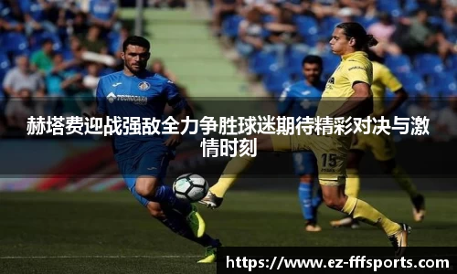 FFF体育官方网站